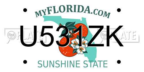 U531ZK Florida License Plate