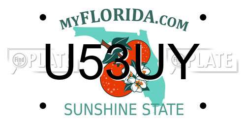 U53UY Florida License Plate