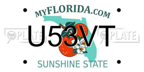 U53VT Florida License Plate