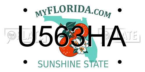 U563HA Florida License Plate