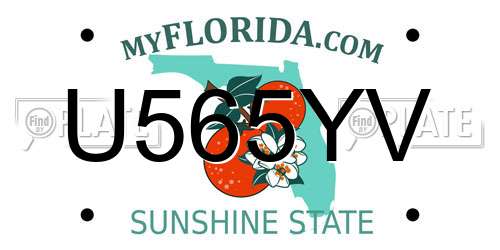 U565YV Florida License Plate