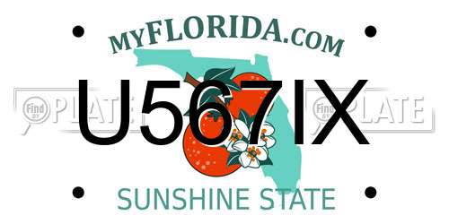 U567IX Florida License Plate