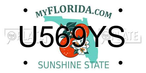 U569YS Florida License Plate