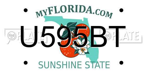 U595BT Florida License Plate