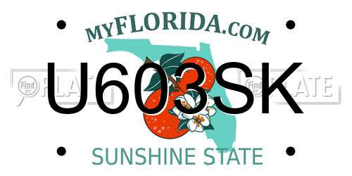 U603SK Florida License Plate