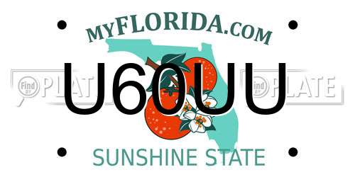 U60UU Florida License Plate