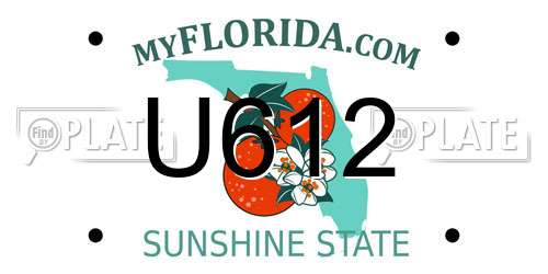 U612 Florida License Plate