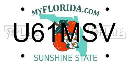 U61MSV Florida License Plate