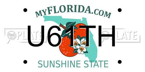 U61TH Florida License Plate