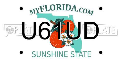 U61UD Florida License Plate