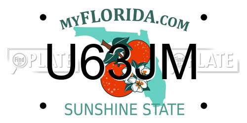 U63JM Florida License Plate