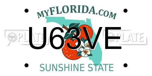 U63VE Florida License Plate
