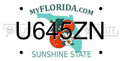 U645ZN Florida License Plate