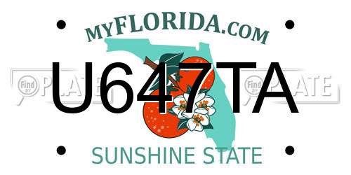 U647TA Florida License Plate