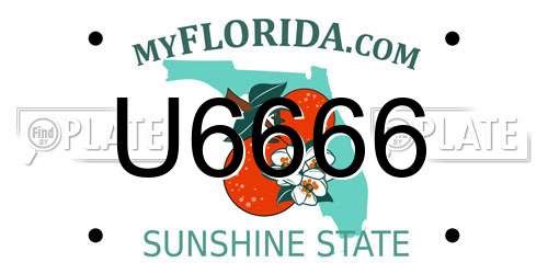 U6666 Florida License Plate