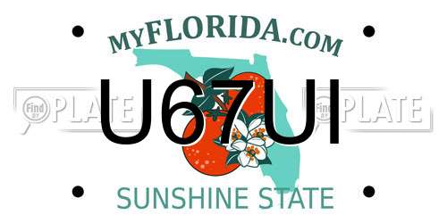 U67UI Florida License Plate