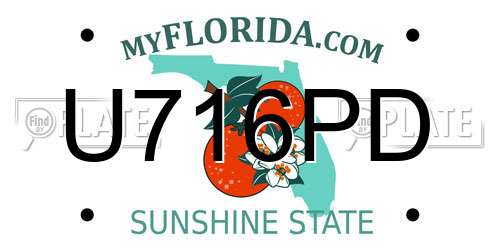 U716PD Florida License Plate