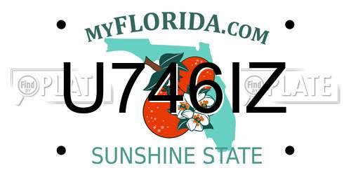 U746IZ Florida License Plate