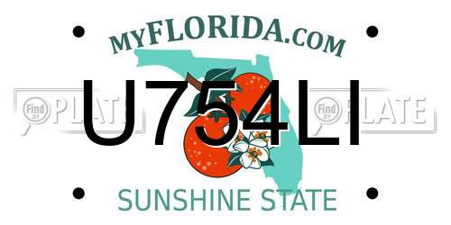 U754LI Florida License Plate