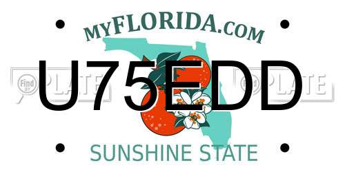 U75EDD Florida License Plate