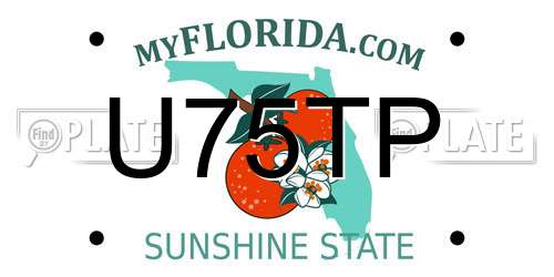 U75TP Florida License Plate