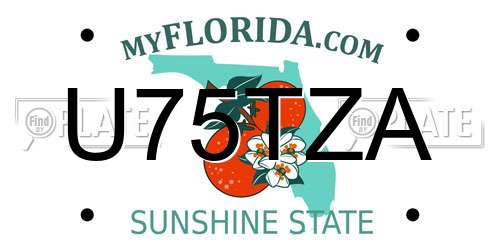 U75TZA Florida License Plate