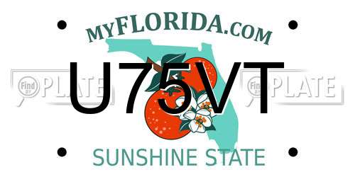 U75VT Florida License Plate