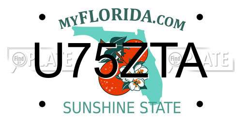 U75ZTA Florida License Plate