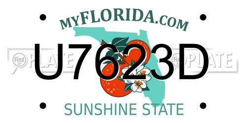 U7623D Florida License Plate