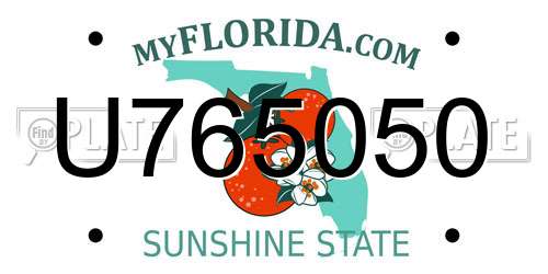 U765050 Florida License Plate