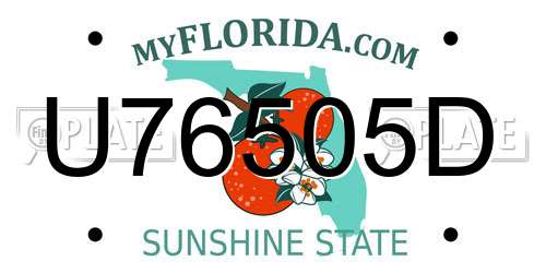 U76505D Florida License Plate