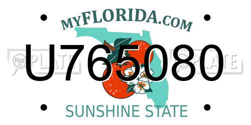 U765080 Florida License Plate