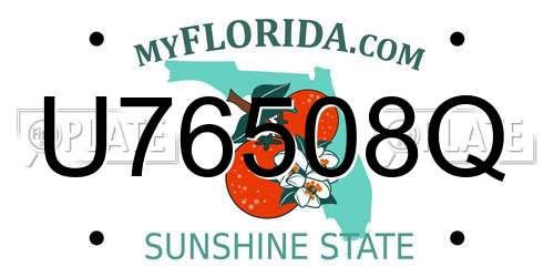 U76508Q Florida License Plate