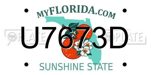 U7673D Florida License Plate