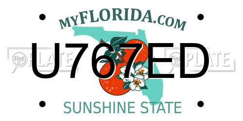 U767ED Florida License Plate