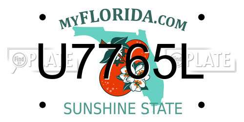 U7765L Florida License Plate