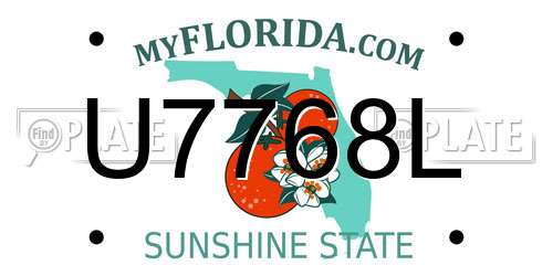 U7768L Florida License Plate