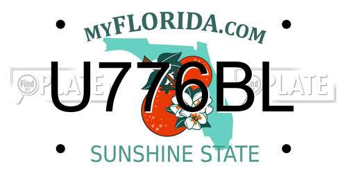 U776BL Florida License Plate