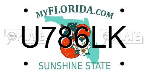 U786LK Florida License Plate