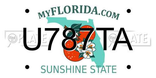 U787TA Florida License Plate