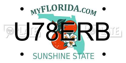 U78ERB Florida License Plate