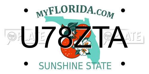 U78ZTA Florida License Plate