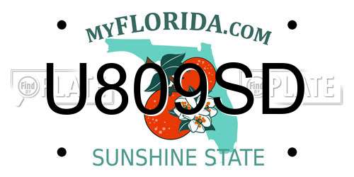 U809SD Florida License Plate