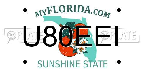 U80EEI Florida License Plate