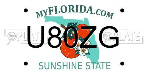 U80ZG Florida License Plate