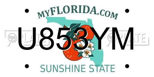 U853YM Florida License Plate