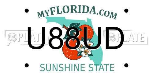 U88UD Florida License Plate