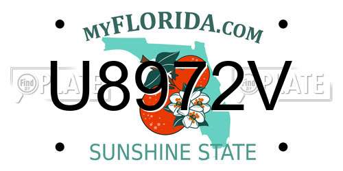 U8972V Florida License Plate