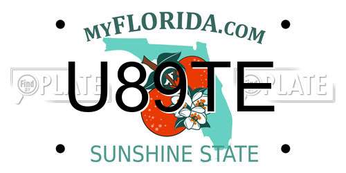 U89TE Florida License Plate