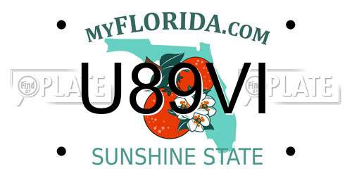 U89VI Florida License Plate